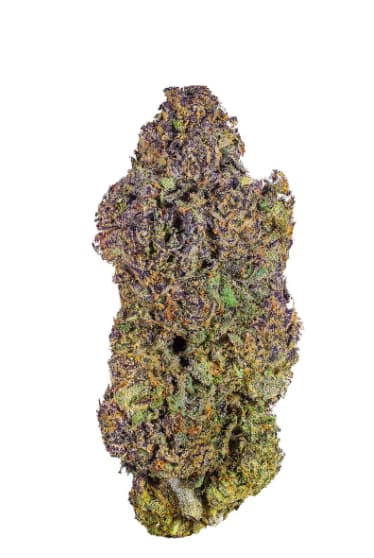 HighXotic - Royal Dive #6: VantaBlack - Royal Dive #6: VantaBlack 3.5g Dried Flower